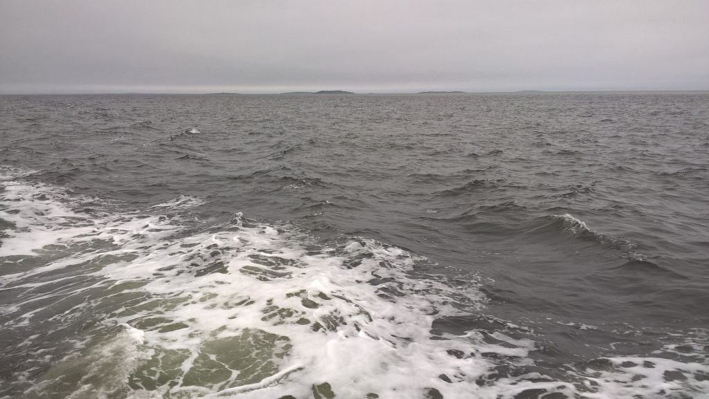 Белое море