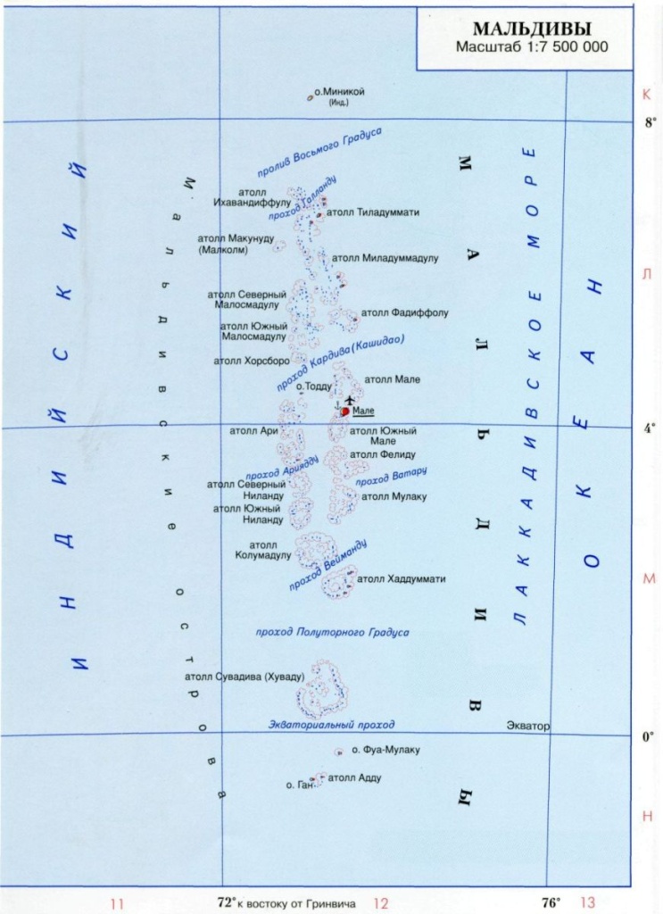 maldivy.jpg