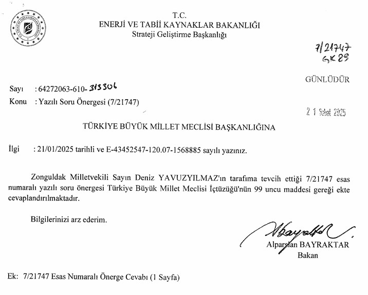 bayractar110325.jpg