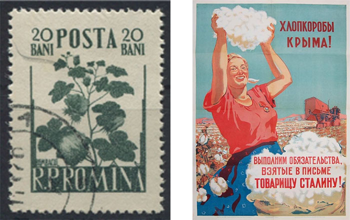 _ почтовая марка Румынии с хлопком, 1956.jpg _ почтовая марка Румынии с хлопком, 1956.jpg
