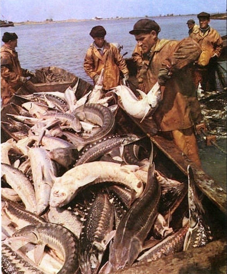GcsKqajbcAAENN8.jpg GcsKqajbcAAENN8.jpg